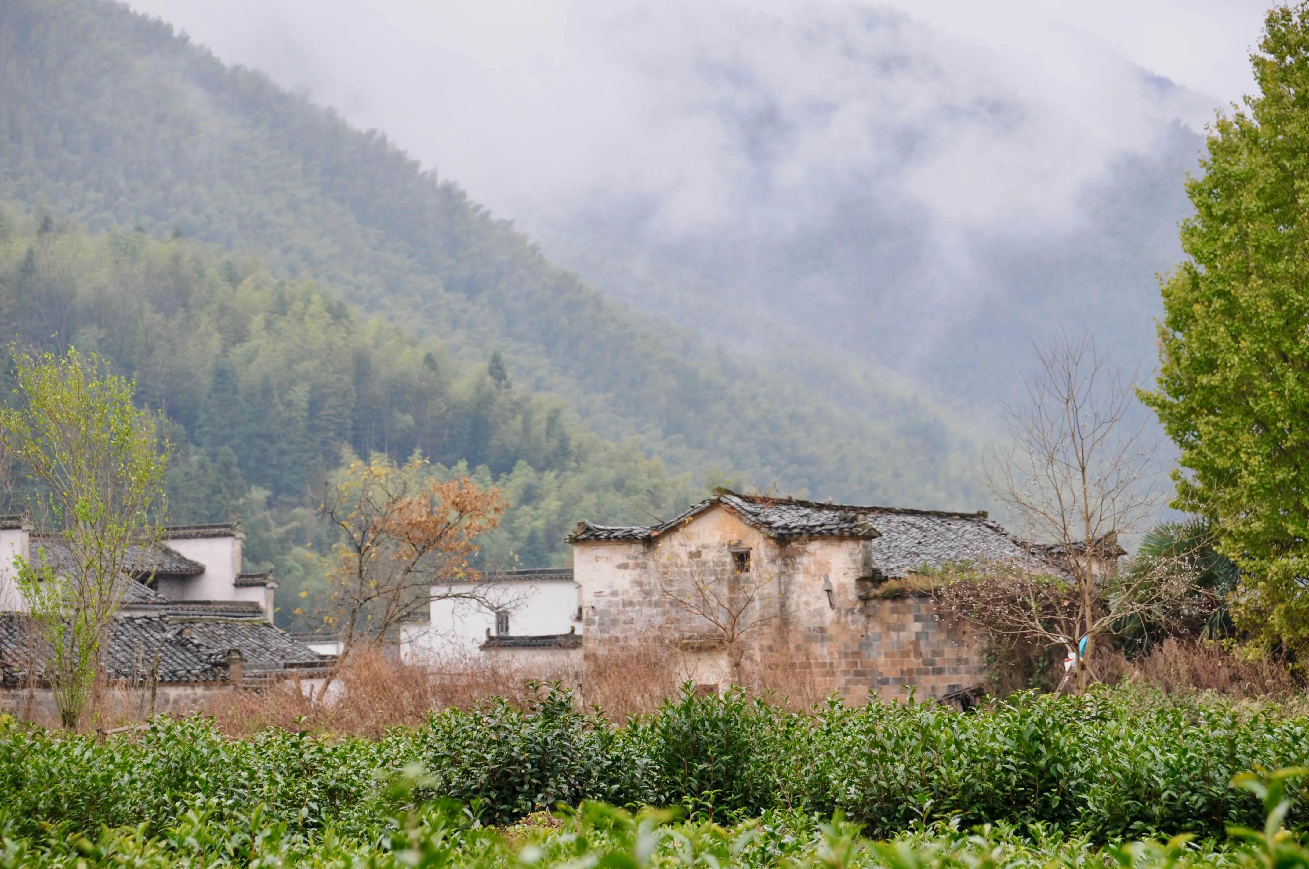 纤纤素手,妙笔丹青(以散文的形式来夸夸姐姐呀)