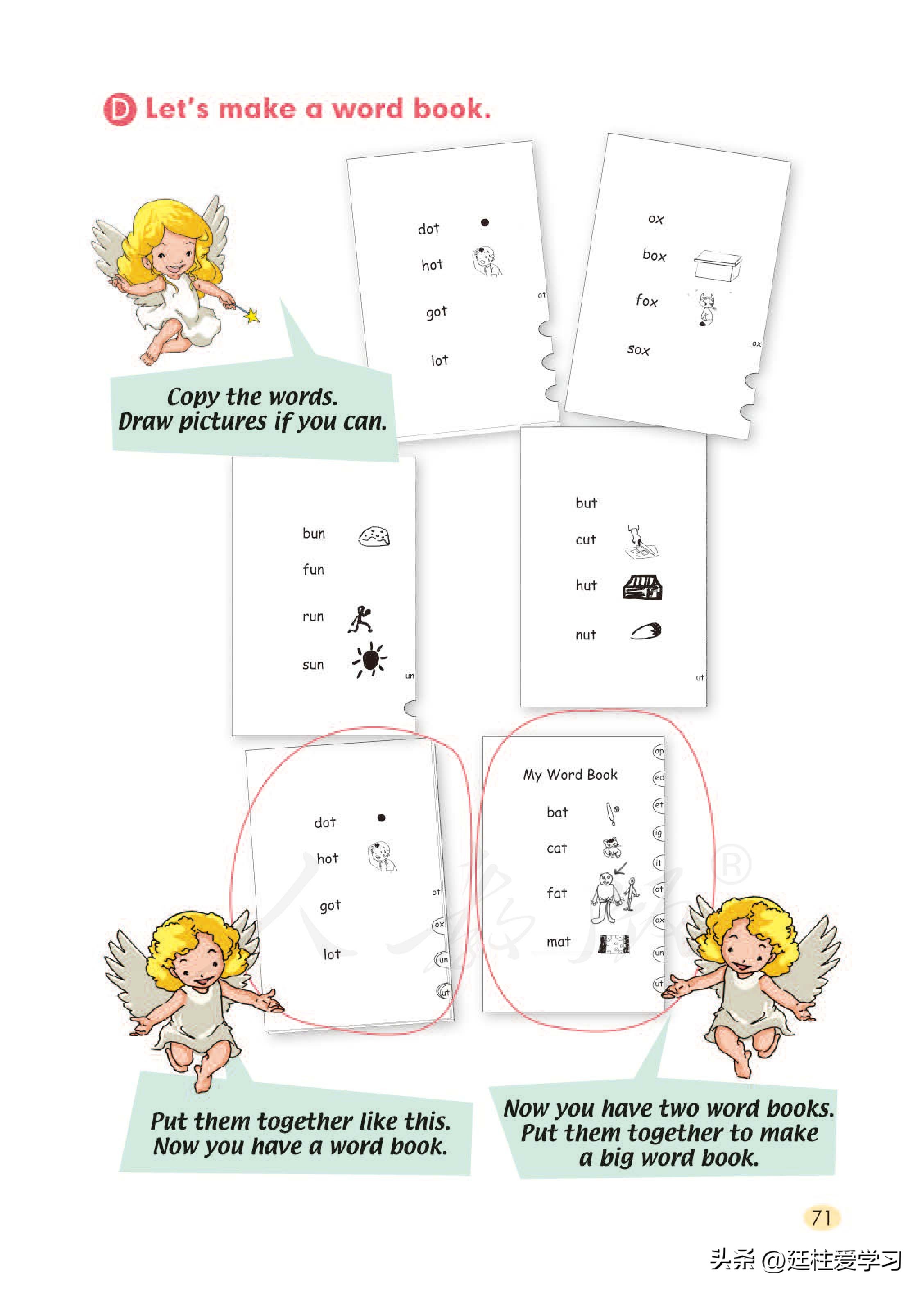 小学英语外研版三年级上册,小学英语精通版三年级上册