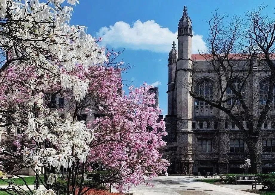 难度预警！这8所「学霸最喜欢」的美国大学，据说录了才知辛酸…