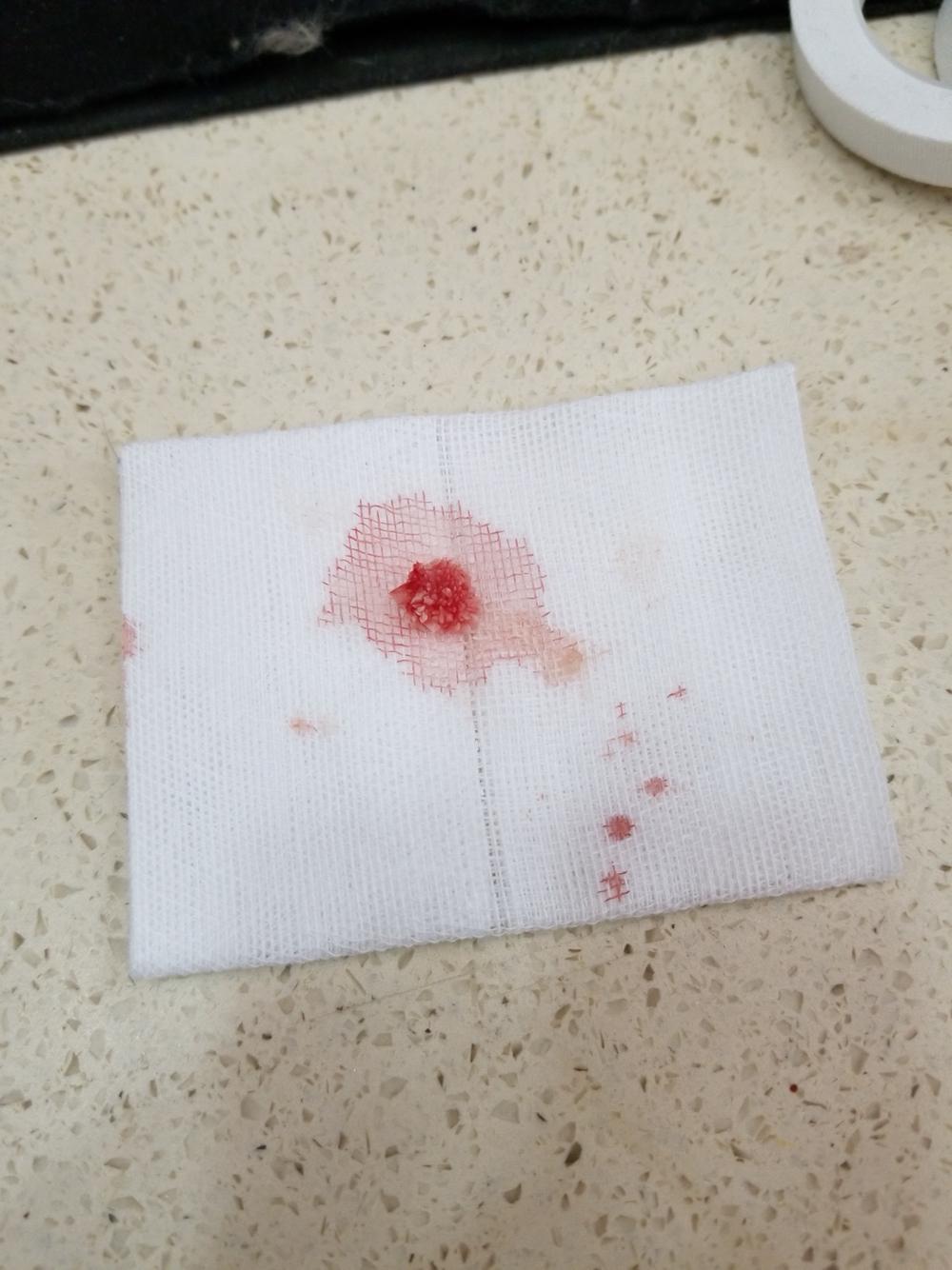 猫咪骗水喝的办法,猫咪骗水神器视频大全