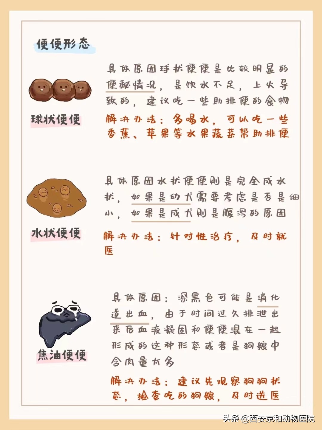 狗狗健康的便便是怎么样的,狗狗健康自测指南