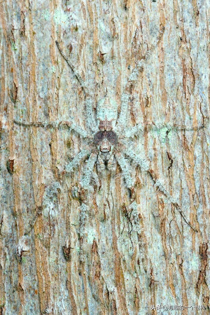 偶然记录的33个瞬间，初看很困惑，看懂后又觉得很妙