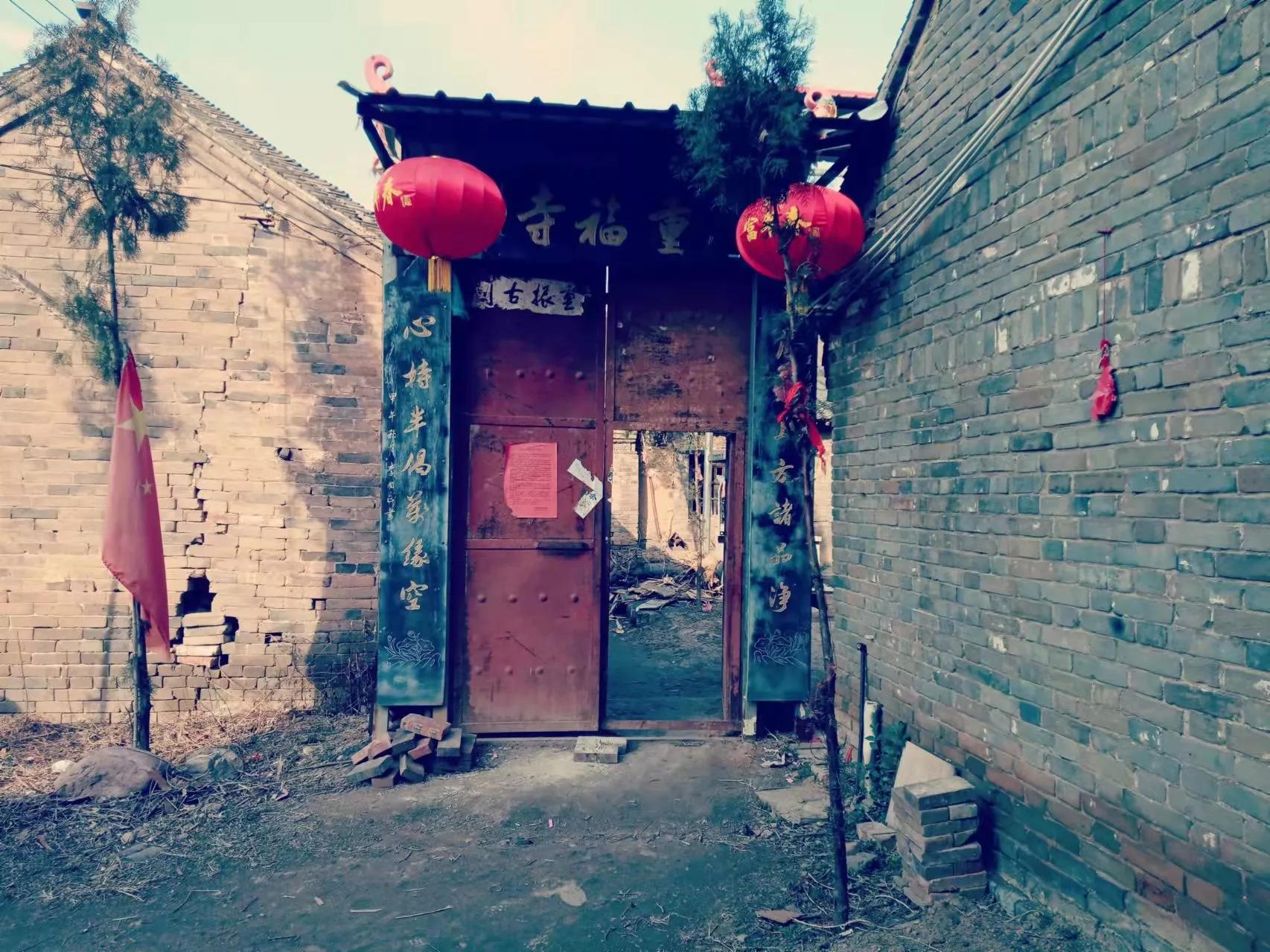 两个忘年猴朋友″