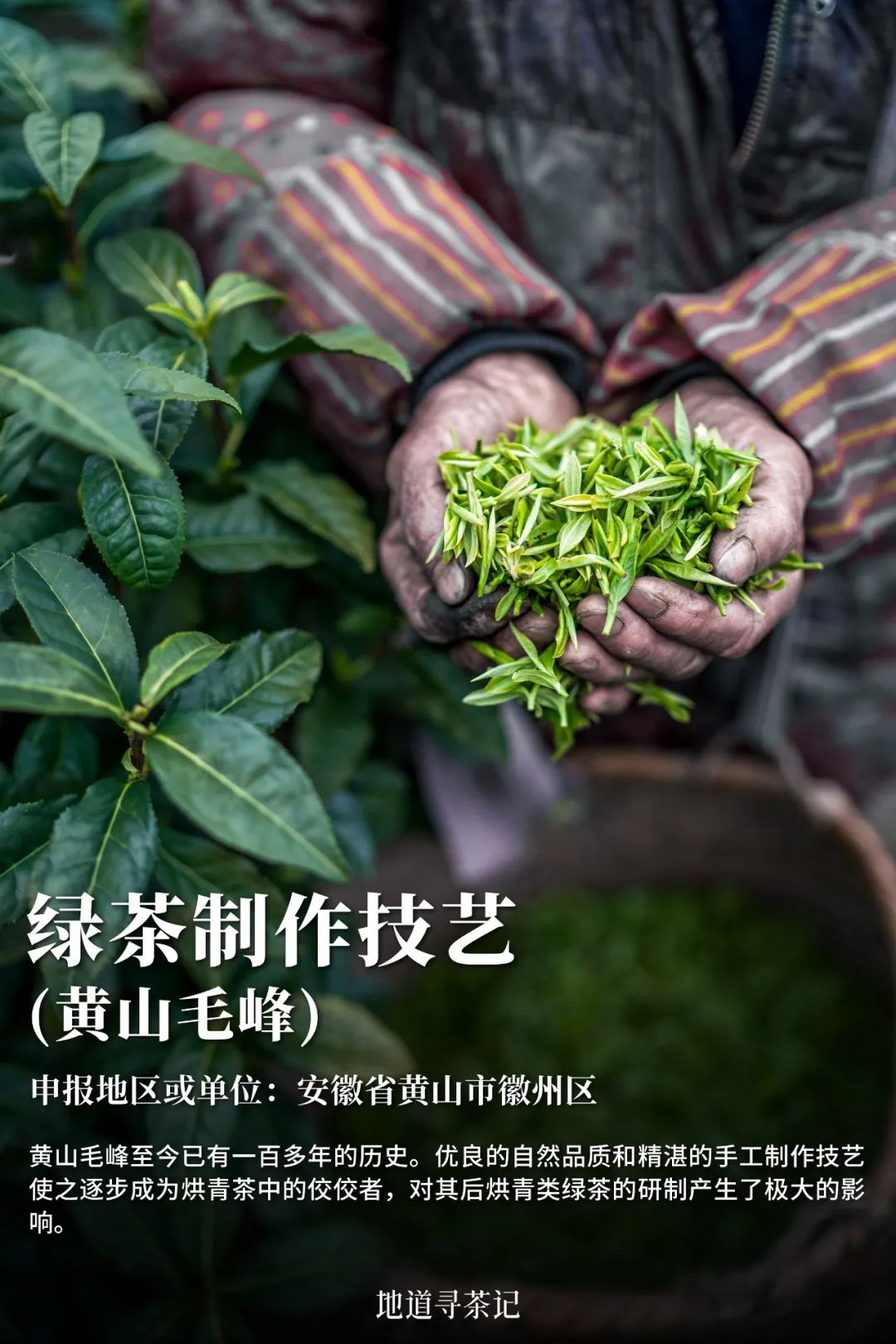 我国哪种传统艺术第一个入选非遗,中国非遗成功的有22项