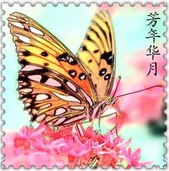 微信头像设计制作软件,qq微信头像大全