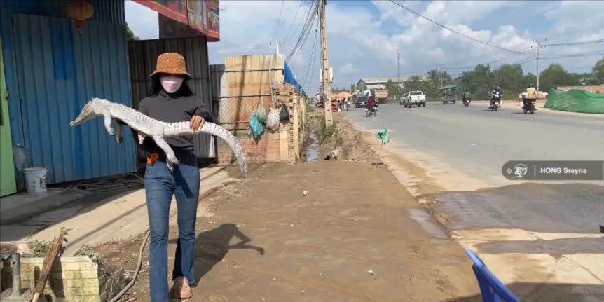 柬埔寨卖肉,柬埔寨路边摊