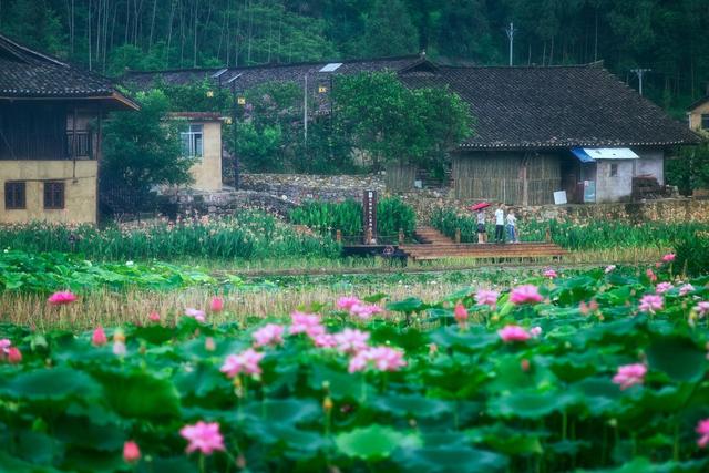 武隆仙女山和芙蓉洞哪个值得去,武隆仙女山一日游最佳景点