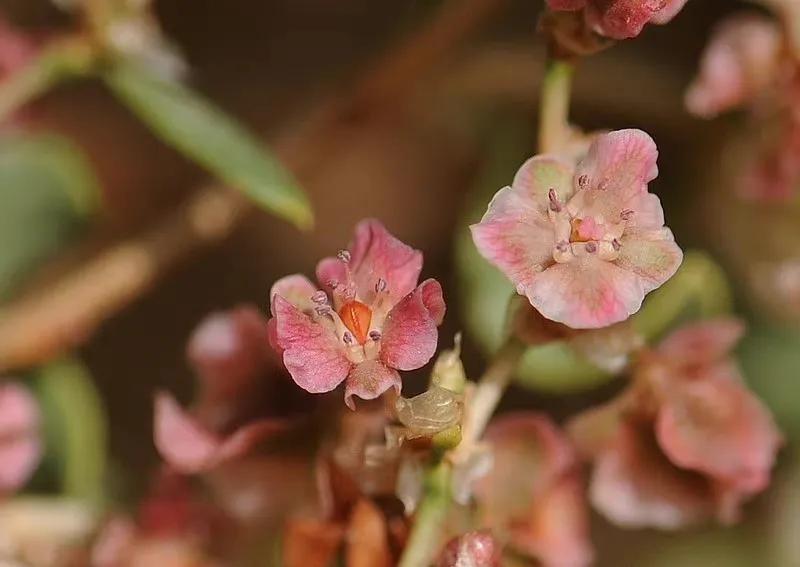 给你全部的温情与热爱,想给你全部的温情和热爱