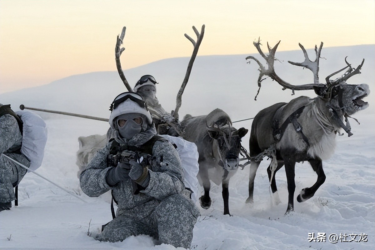 芬兰加入北约俄罗斯如何应对,芬兰加入北约之后俄罗斯如何应对