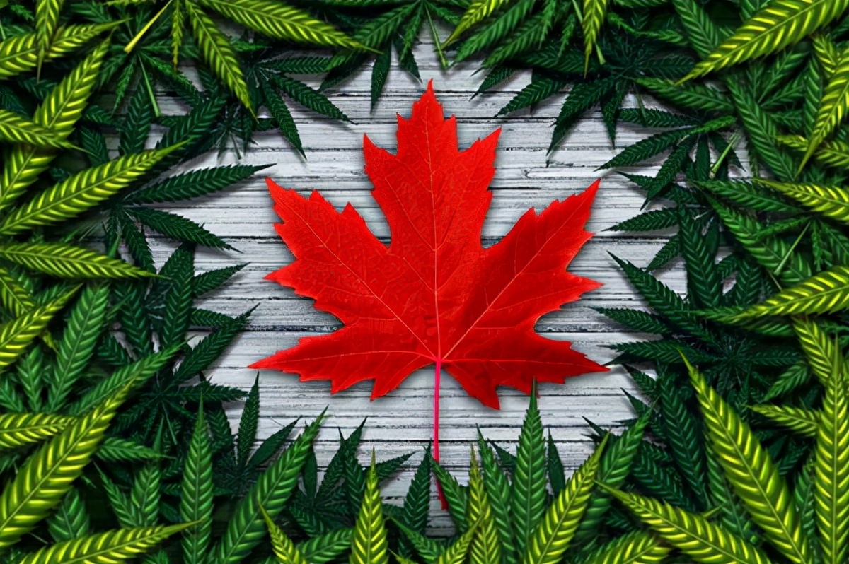 加拿大多省宣布将放宽防疫政策,加拿大安省防疫将出新规