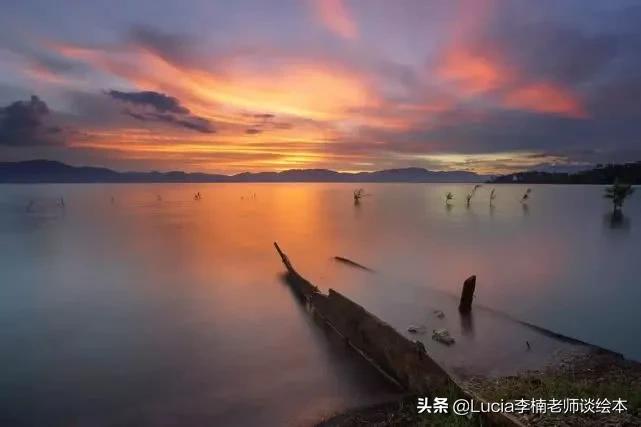 “一鲸落,万物生”,你听说过吗?