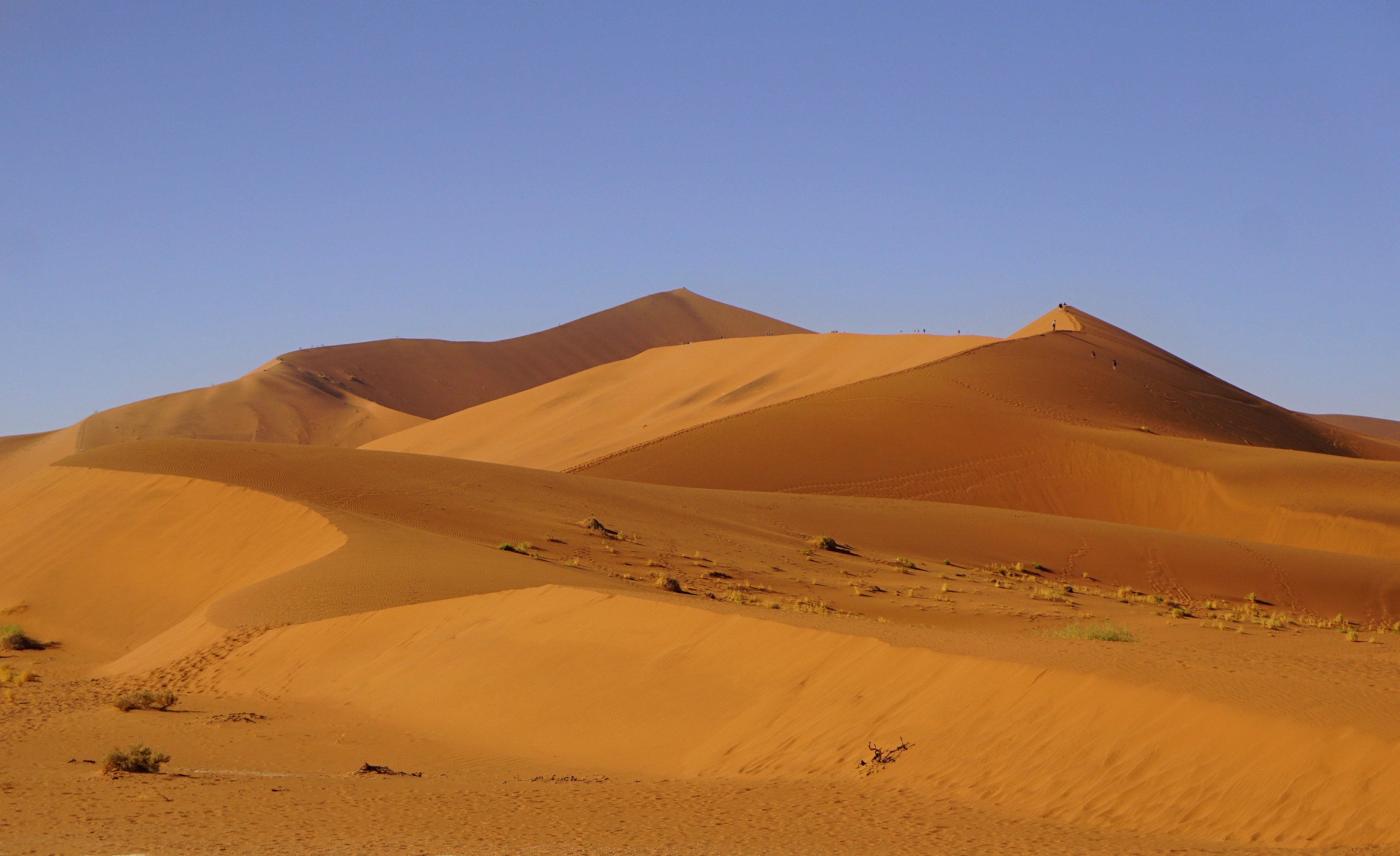 绾崇背姣斾簹绾㈣壊娌欐紶,绾崇背姣斾簹娌欐紶涔嬫梾