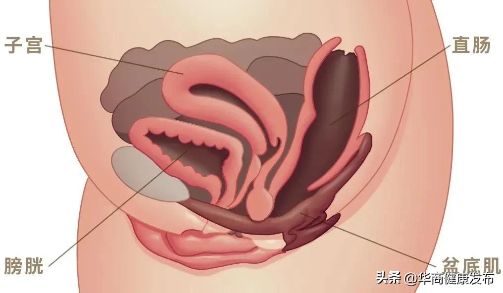 怎么有效抑制皮肉变松,上紧下松有几种方法