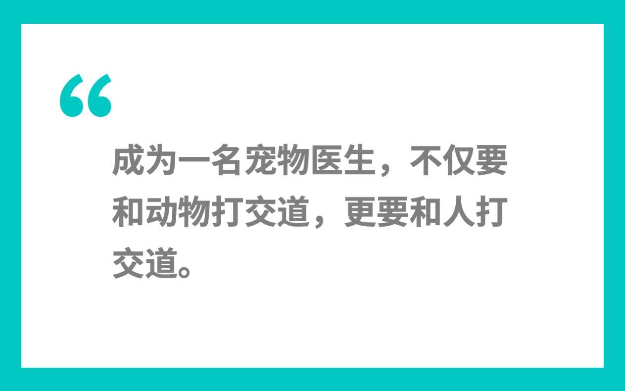 宠物医生一般去哪里就业,宠物医生高收入有哪些