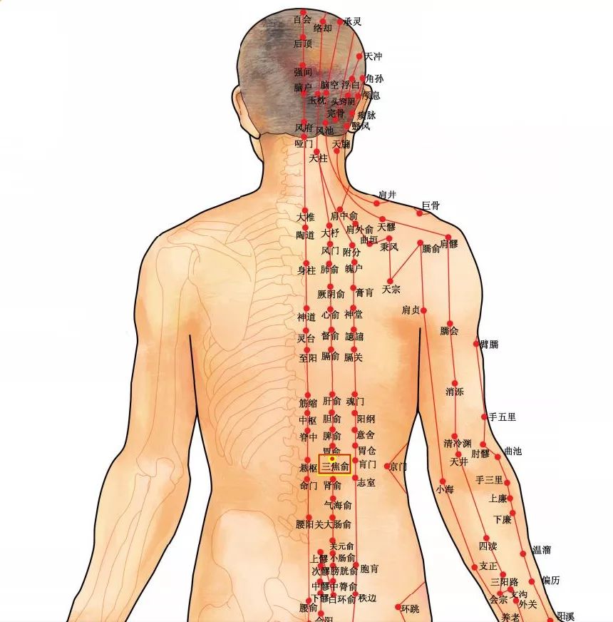 中医针灸治疗颈椎病原理,颈椎病针刀按摩针灸哪种方法好