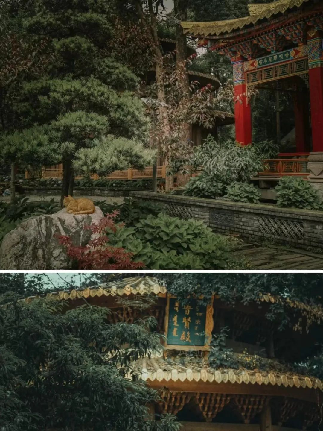 褰窞鐧介箍灏忛晣闇嶆牸娌冭尐,褰窞闇嶆牸娌冭尐