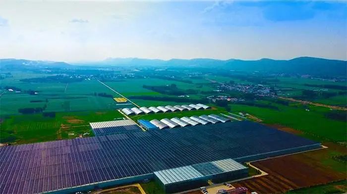 农民助力数字乡村建设 (陕西省关于加强乡村建设实施方案)