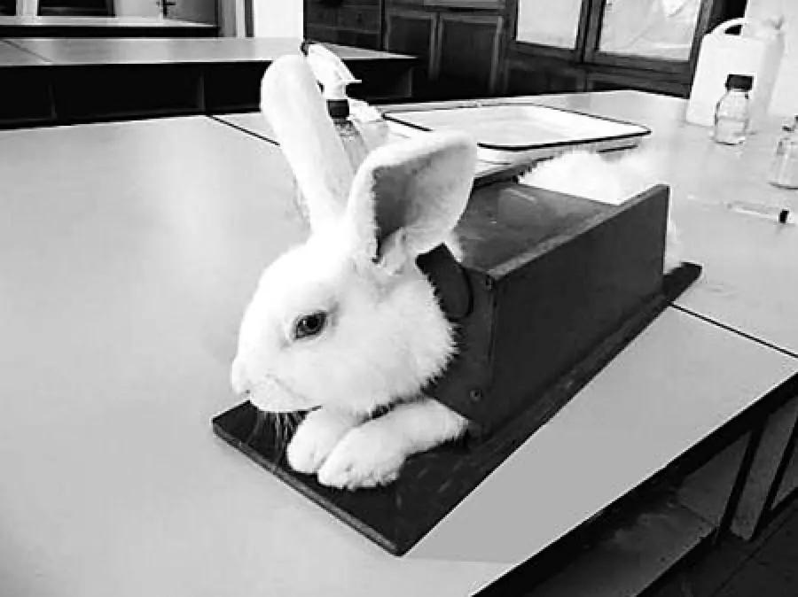 古人啪啪啪后，怎么知道中没中？