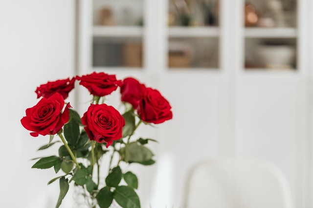 情人节送什么花给情人,情人节送老婆什么花好