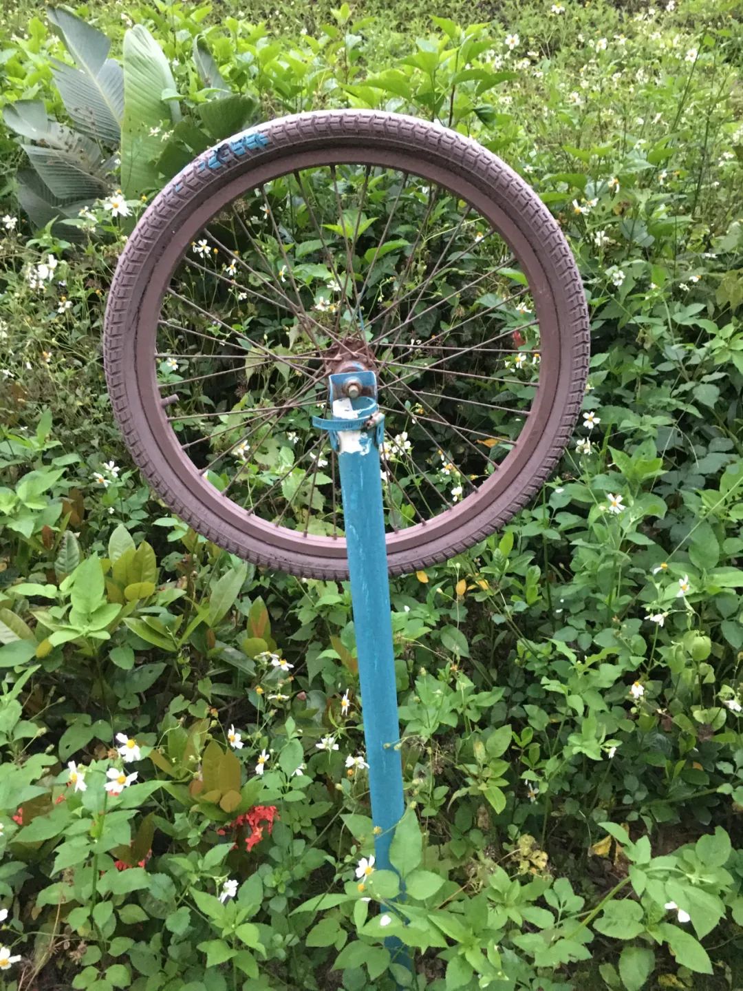 旭光车行雅迪电动车,旭光单车