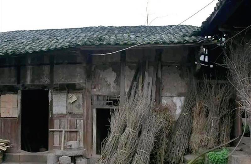 1997年,35岁男子捡到女弃婴,19年后女孩的七幅画卖出4.58万高价