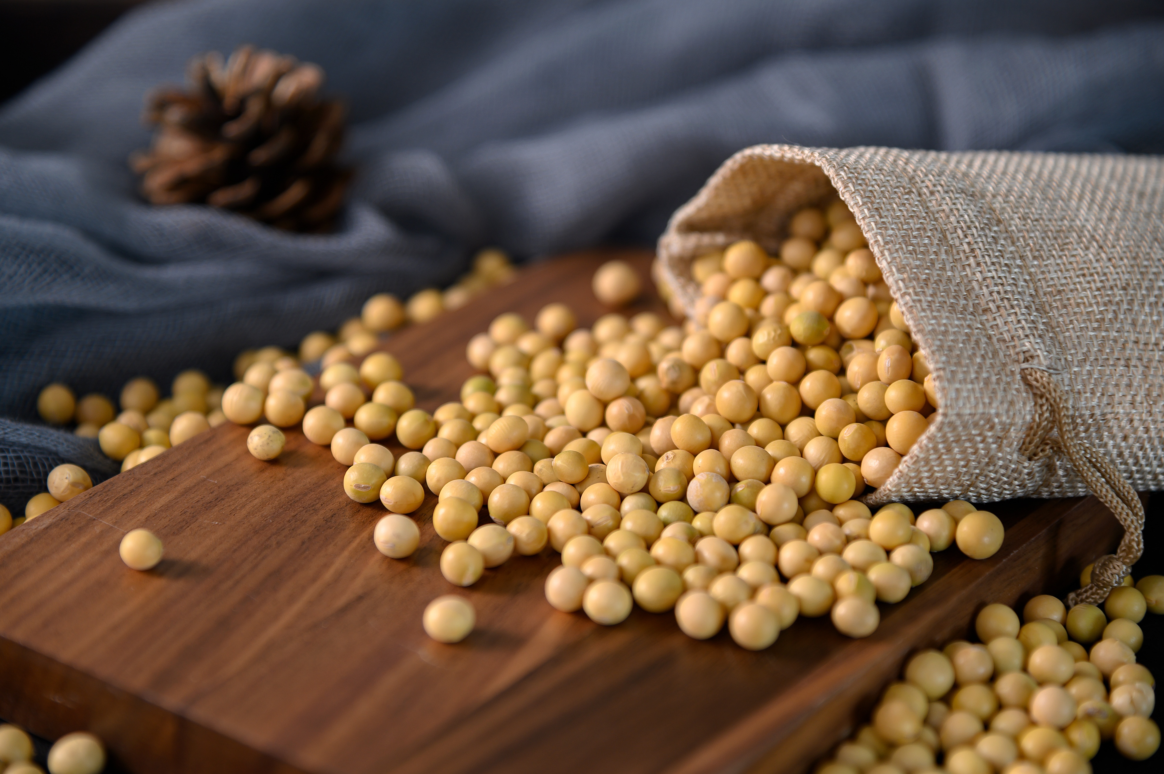 关于期货的基本知识,期货交易所知识大全