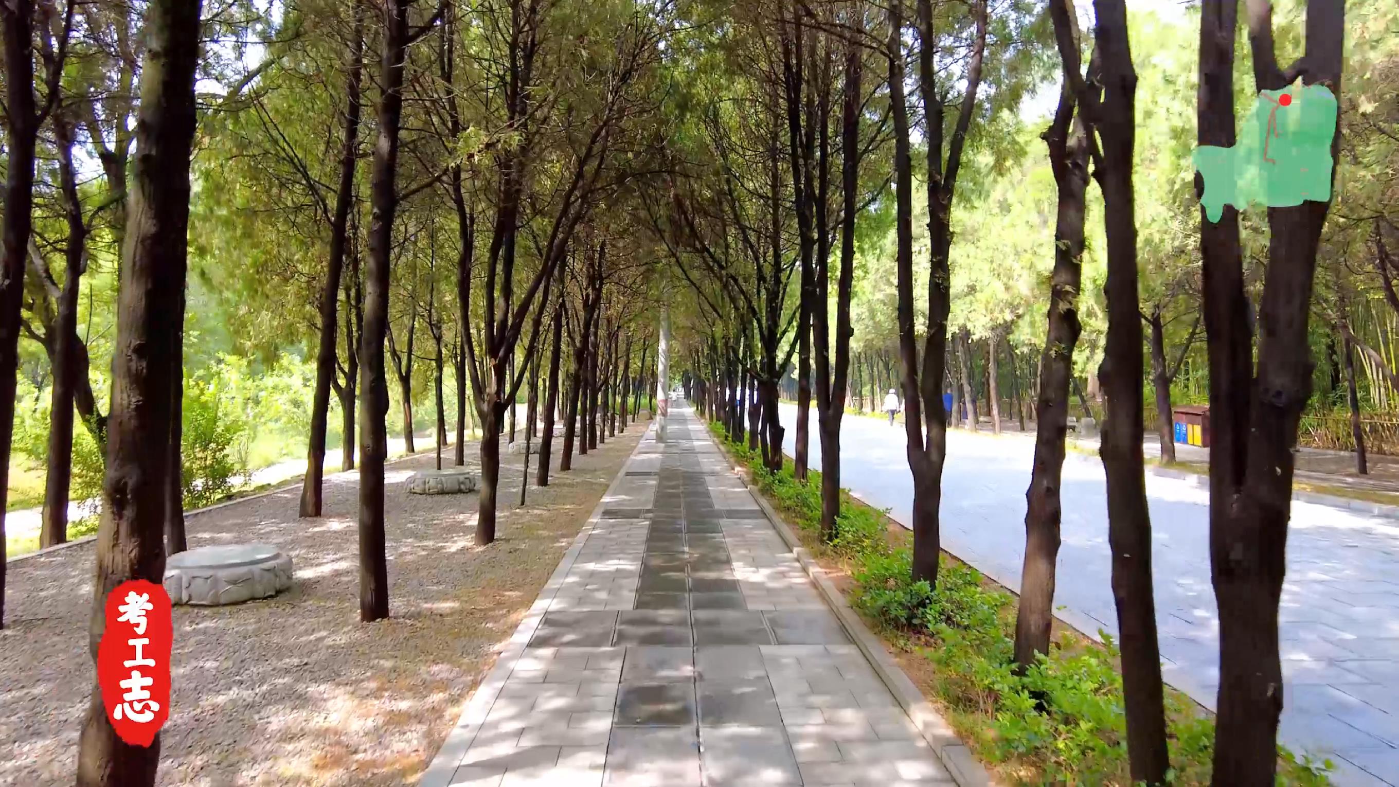 嵩山少林寺的历史背景和基本现状,少林寺传奇之火烧少林寺全集解说