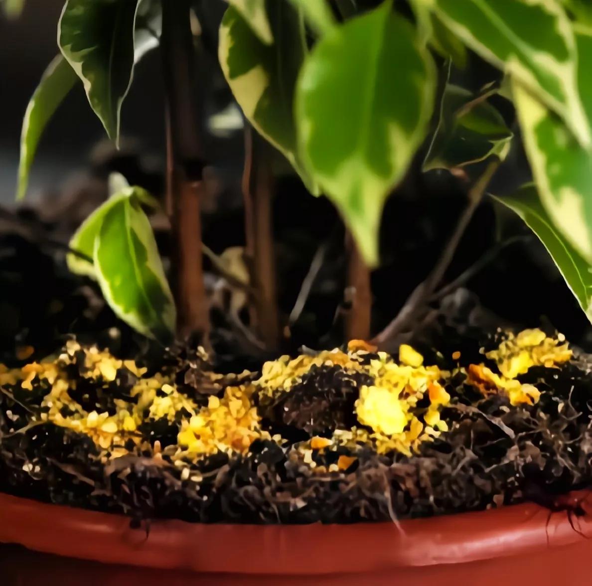 快速晒鞋子的方法,晒鞋子的技巧视频