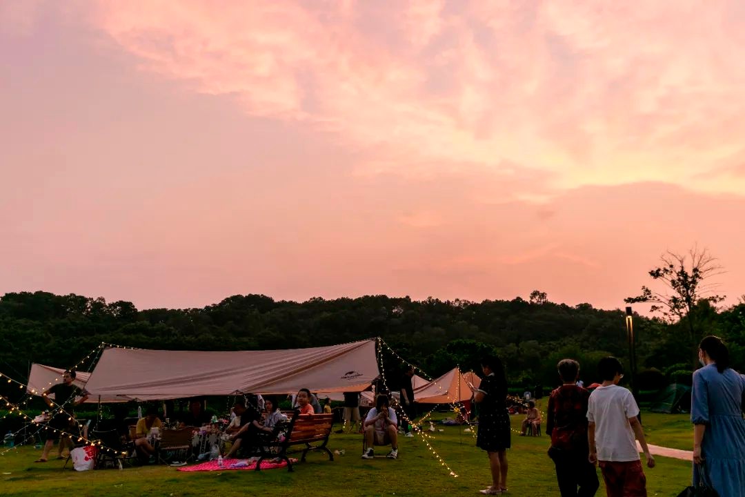 一拍即大片！广州东最新露营打卡地，99%广州人不知道！