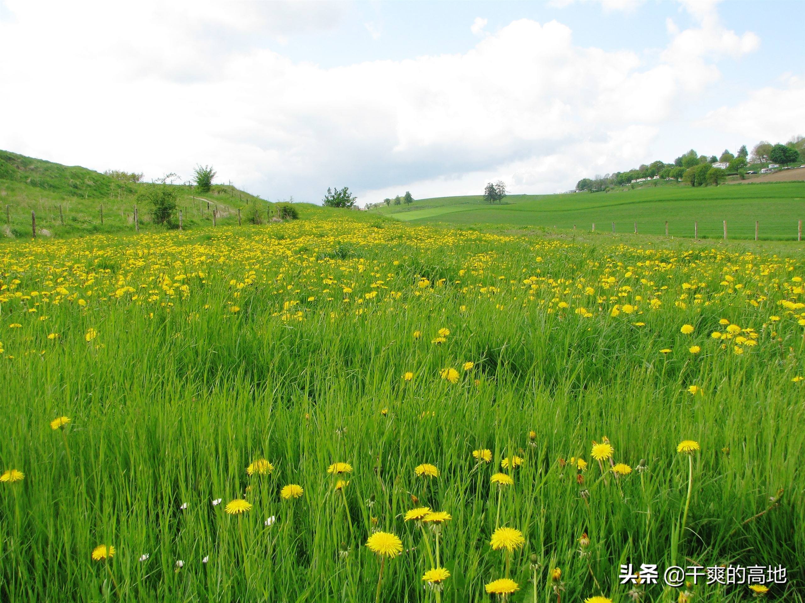 散文｜李沛新：瘦父如山