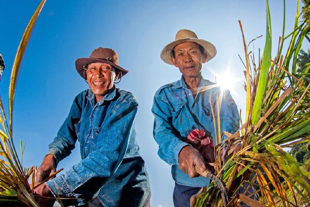 肯德基吸管事件后续,被肯德基骂出来原视频