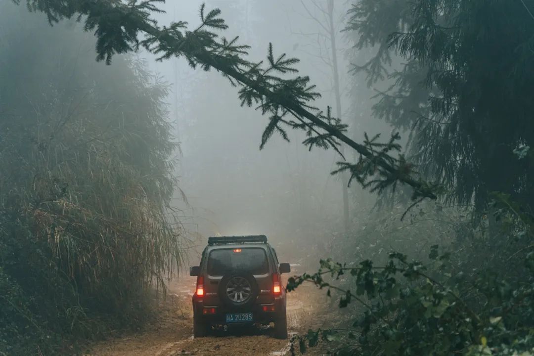 铃木吉姆尼四轮越野车,铃木吉姆尼越野