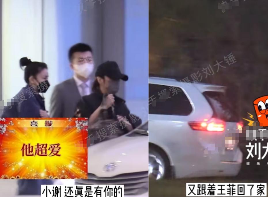 谢霆锋王菲情史回顾,谢霆锋王菲感情稳定