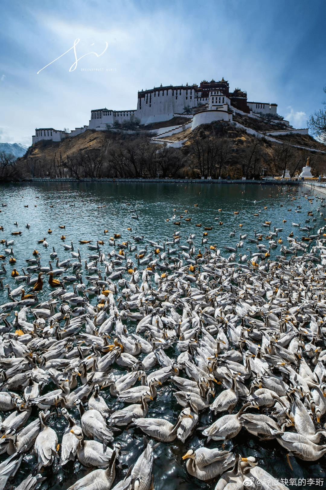 藏历年2023年日历,2023年西藏最美旅行时间表
