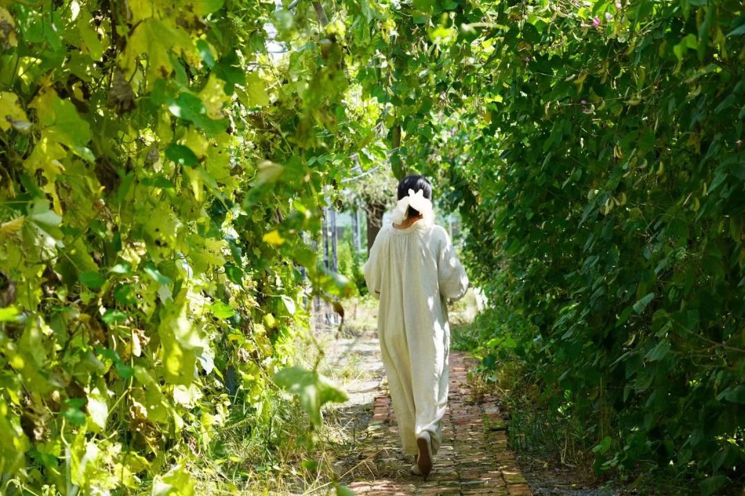 心动！那些藏在崇明民宿里的初秋小美好