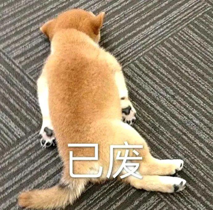 轻松塑造魅力四溢的吸睛全身照,全身照脸特别大