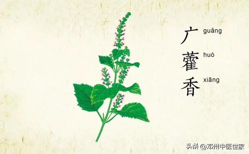 口苦口臭爱放屁的原因和治疗方法,口臭不知道是什么原因怎么治疗