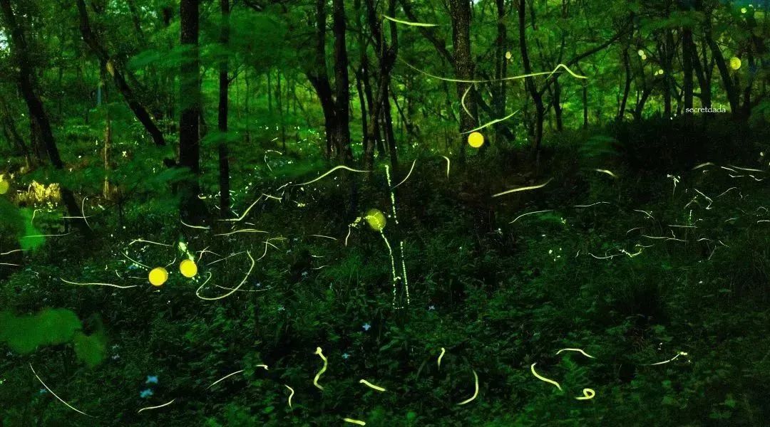 邛崃南宝山旅游攻略,邛崃旅游攻略坐车路线