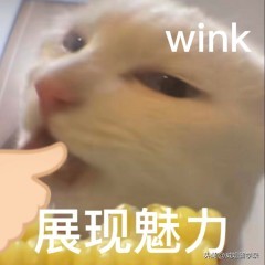 免费领取雅思押题,雅思口语题库免费领取