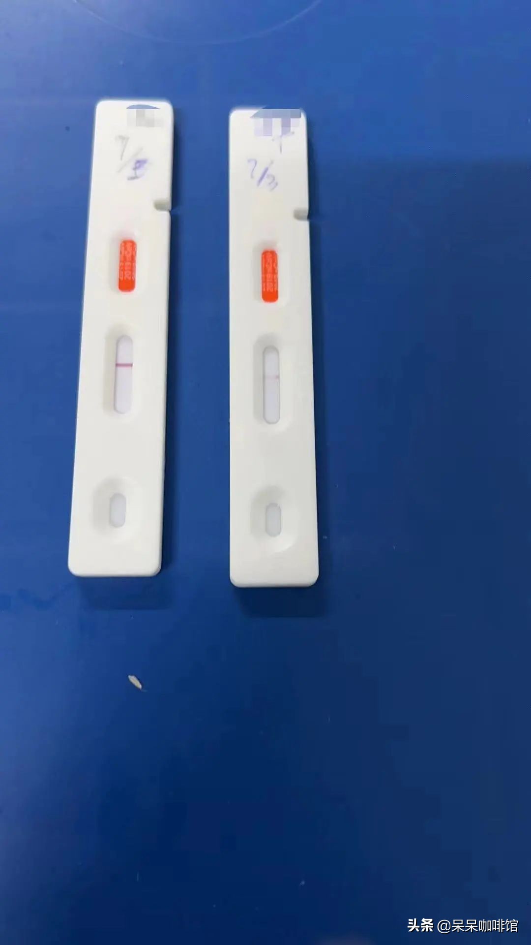 疫情下的香港一家人,疫情下一对河南夫妻的生活