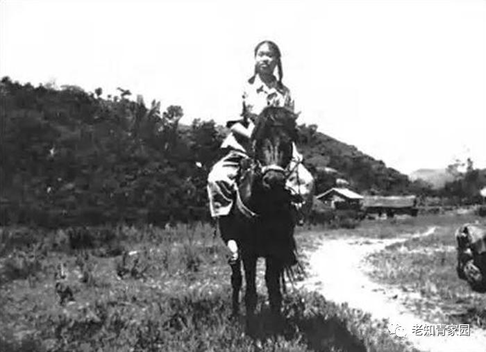 我的苦乐人生——下乡九年的蹉跎岁月