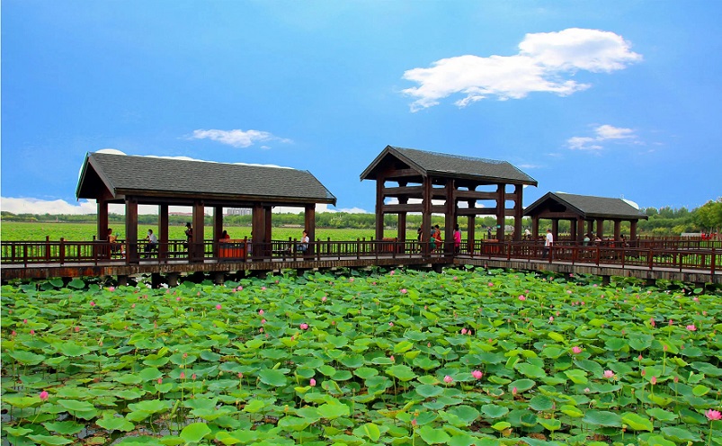 天津冷门,天津周边冷门自驾