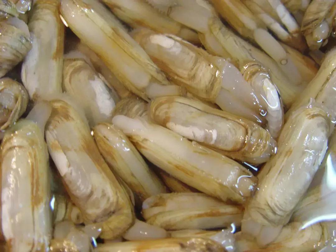 如何挑选冰冻好的小海鲜,最实用的各种海鲜做法都在这里啦