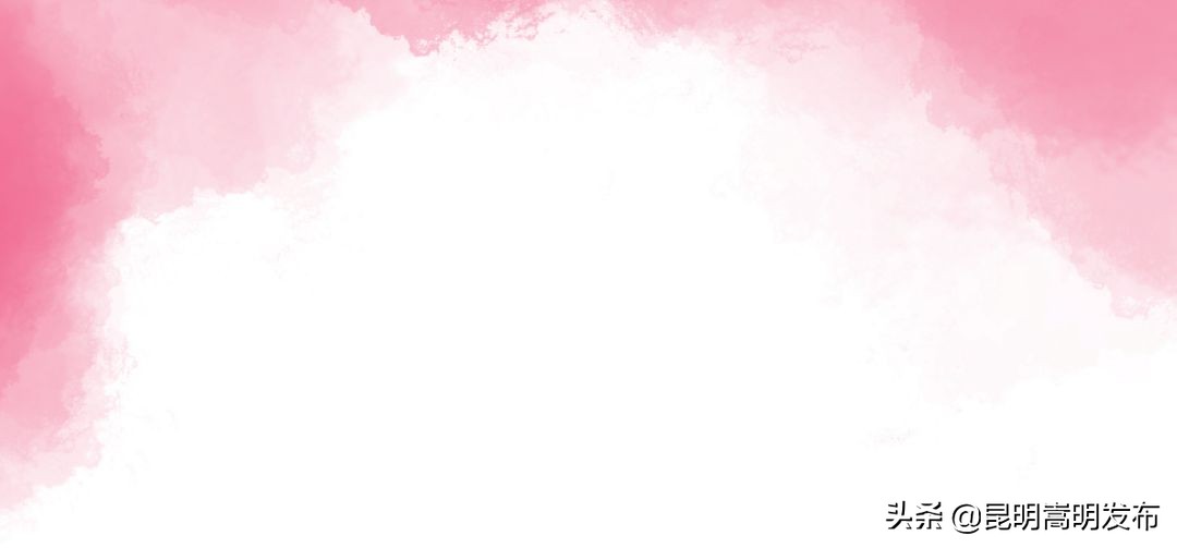 嵩明永生花店 (嵩明永生花)