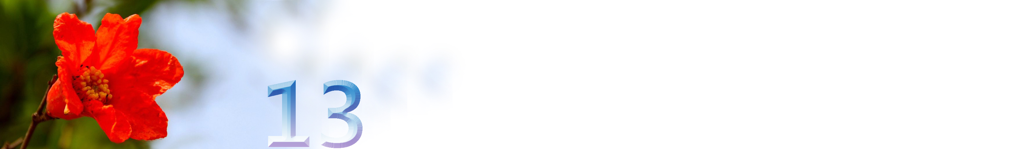 五月石榴花开的唯美诗句,关于石榴花的美文和诗句