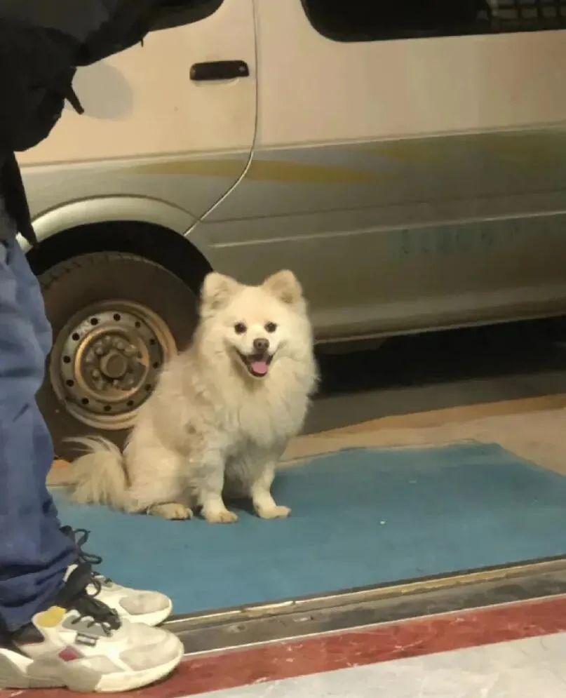 西瓜奇葩搞笑图片,超级搞笑吃西瓜笑的肚子都疼了