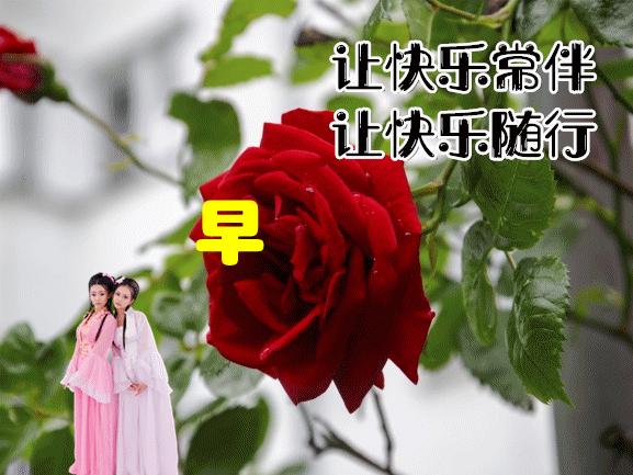 最新最美雨天早上好问候文字图片,夏日里最美的早晨问候图片大全