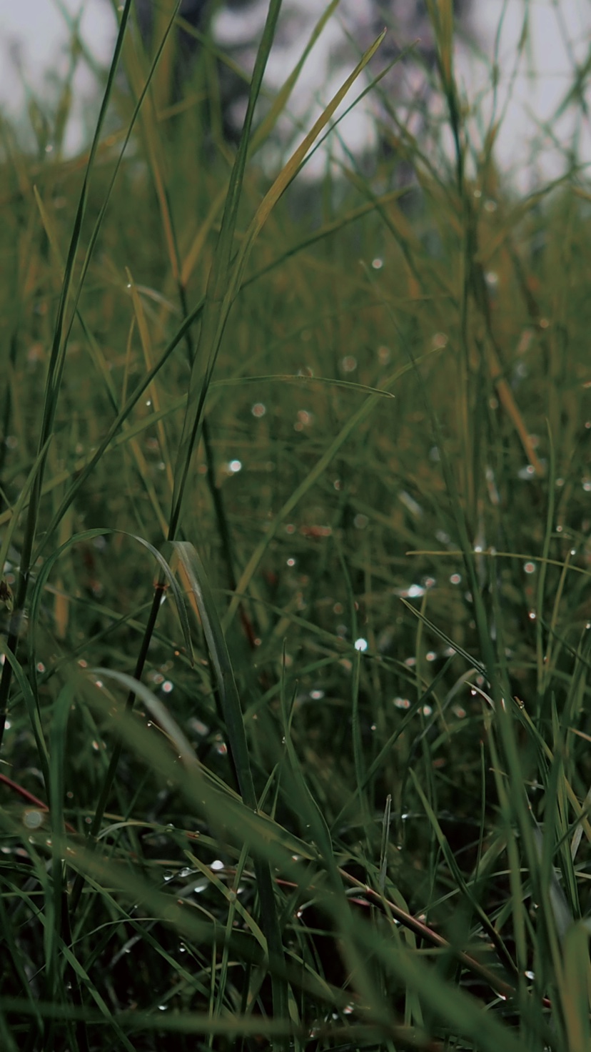 生活不如意但要积极面对的句子,生活很累但也要笑着面对的语录