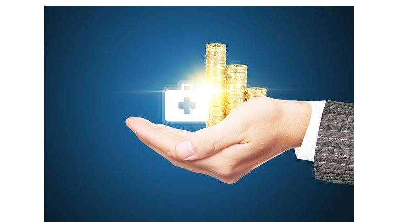 基金份额净值和基金总资产,基金盈利是余额的比例还是份额