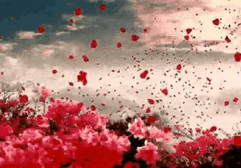 原创诗歌诗词欣赏,落红诗歌